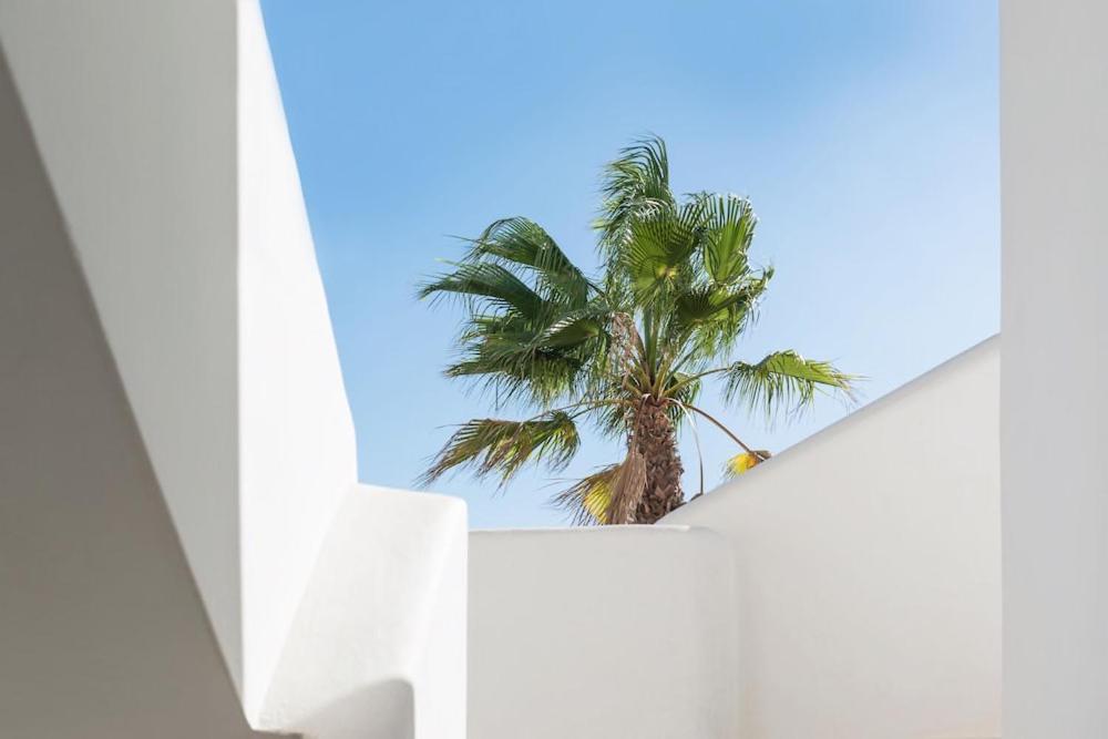 Apartment Bossa Bahamas By Fergus Playa d'en Bossa